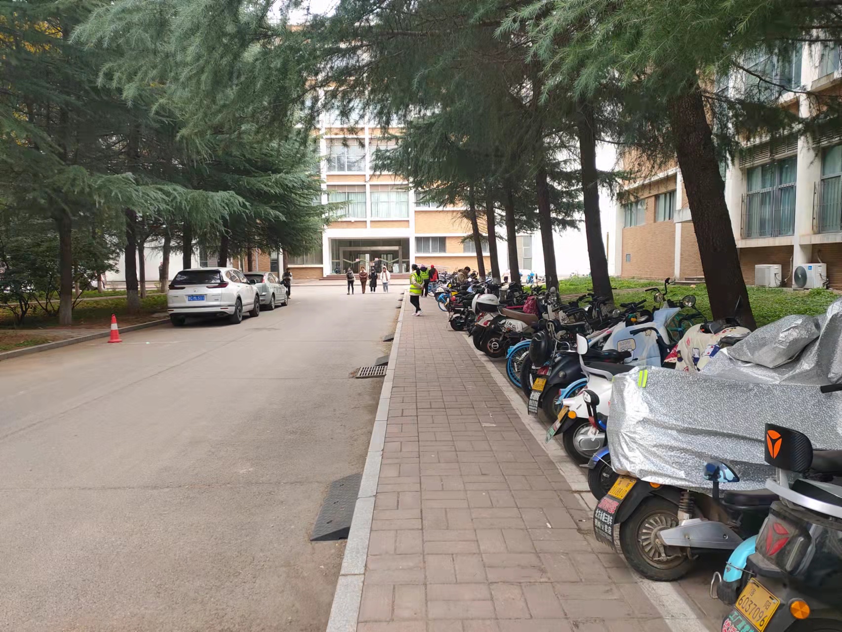 保卫处开展校园非机动车乱停乱放专项治理-洛阳理工学院政治保卫部保卫处