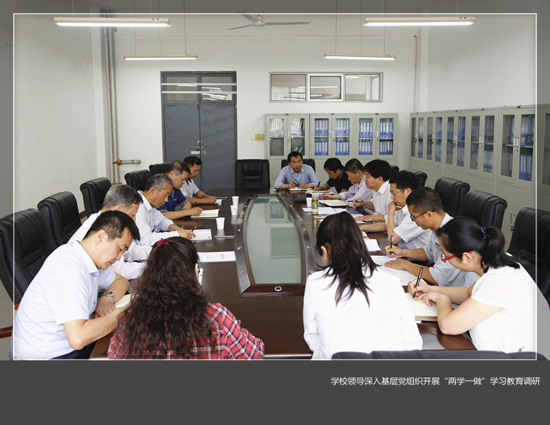 学校领导深入基层党组织开展“两学一做”学习教育调研