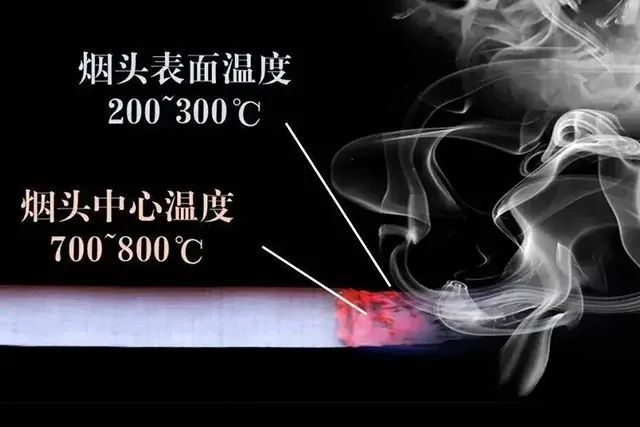 烟头虽小,“发火”威力无穷!-洛阳理工学院政治保卫部保卫处