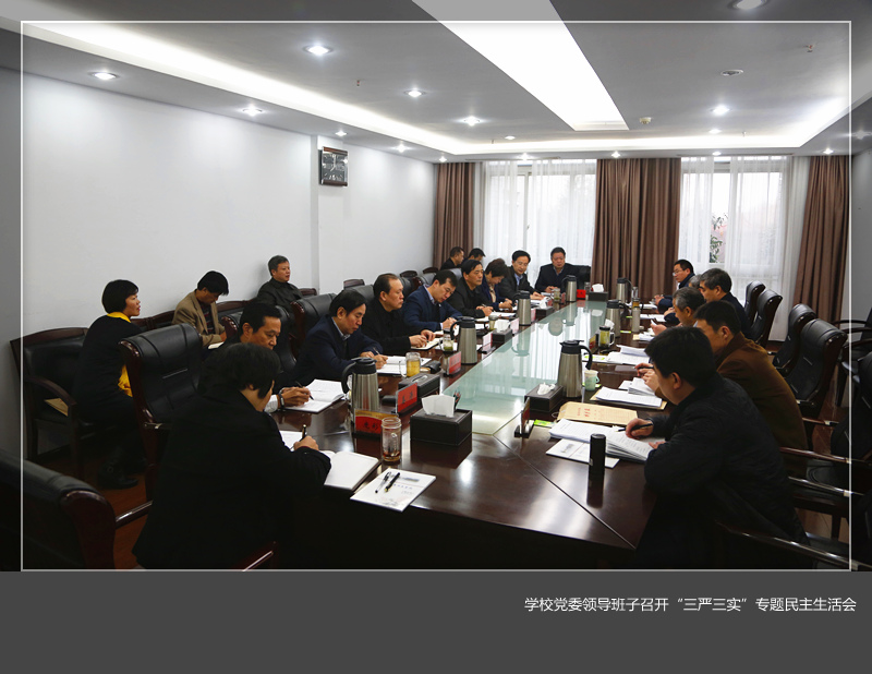 学校党委领导班子召开“三严三实”专题民主生活会