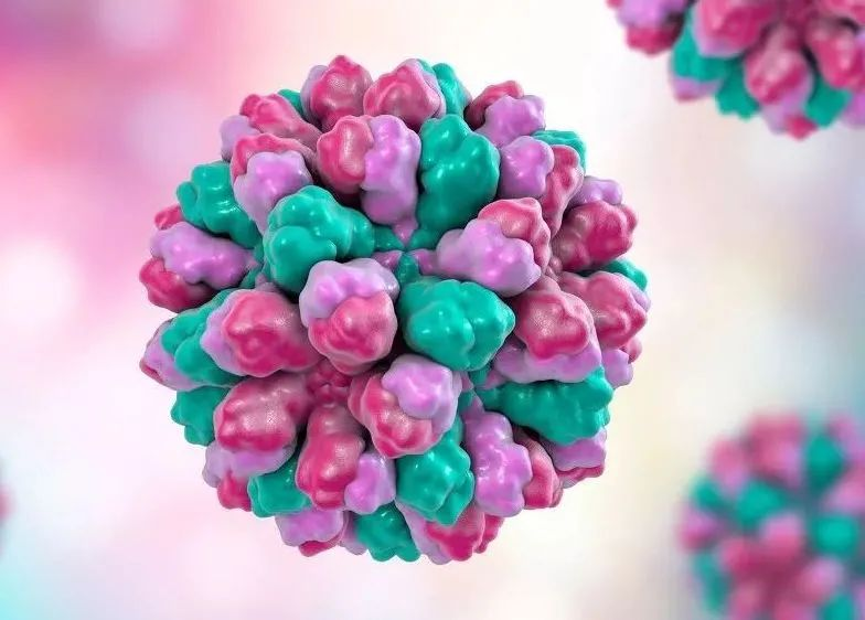 诺如病毒感染性腹泻高发季校园防控健康提示-洛阳理工学院